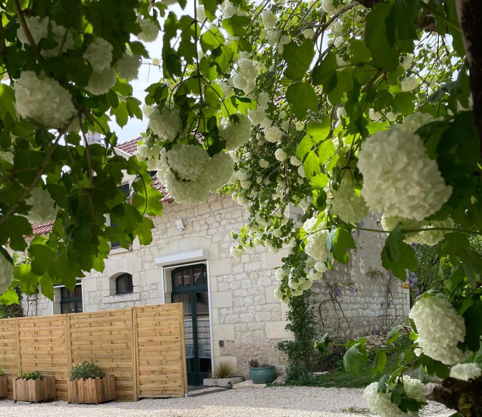 Le Relais, La Dormance, Le Bois Dormant Châteauvieux Exterior foto